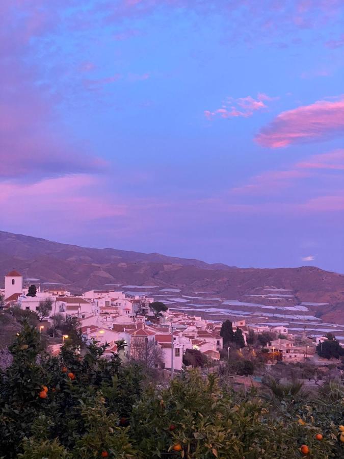 La Ventera - Summer Gualchos